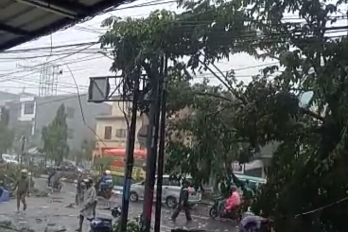 Bencana Angin Topan
